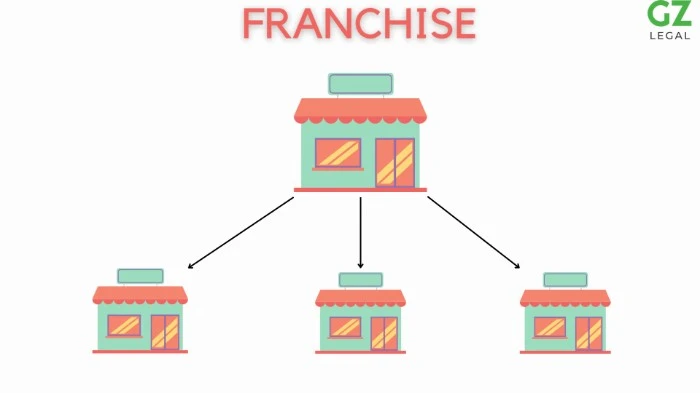 A visual representation of a franchise.